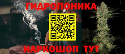 ешки Аргун
